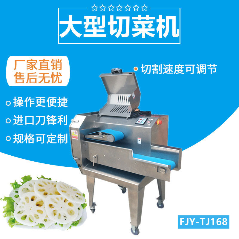 大型切菜機（jī）FJY-TJ168