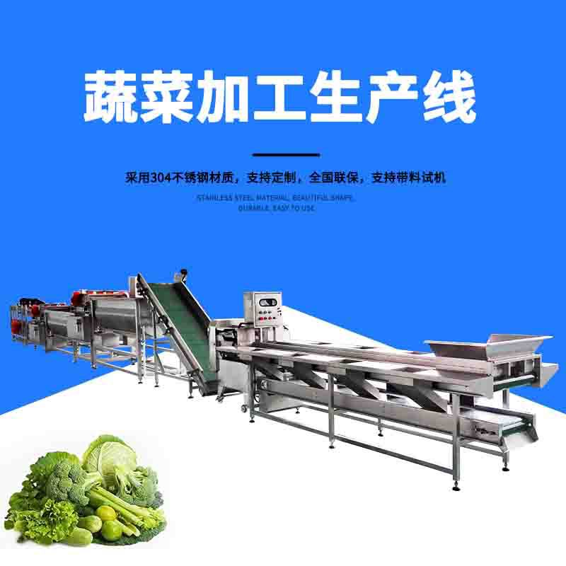 蔬菜清洗加工生產（chǎn）線